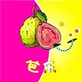 17c-c起草视频免费下载